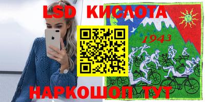 спиды Гатчина