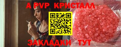 спиды Гатчина