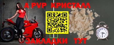 спиды Гатчина