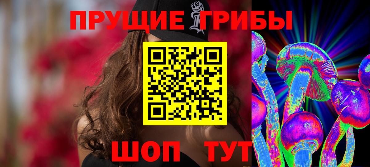 Псилоцибиновые грибы Psilocybine cubensis Дзержинский